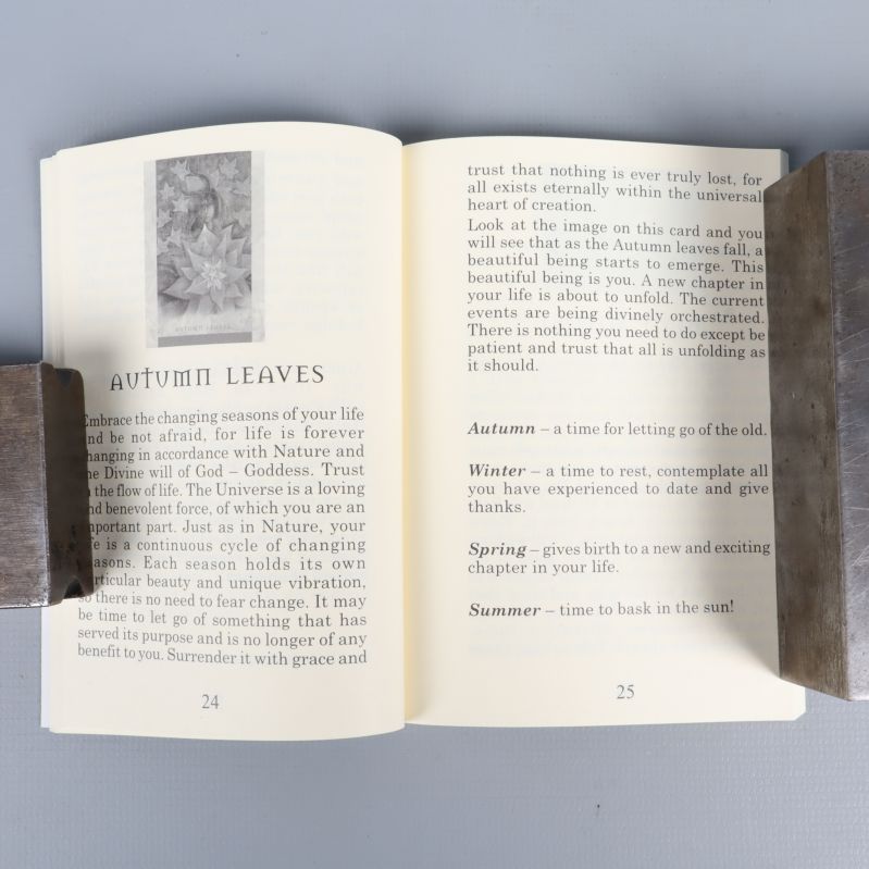 Uppslagen guidebok på engelska med text och illustration