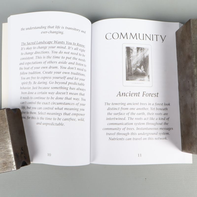 Uppslagen guidebok med text och illustration av äldre skog