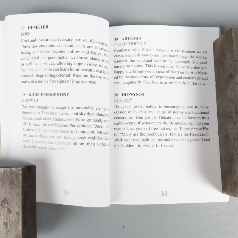 Uppslag ur guideboken med tolkningar av korten