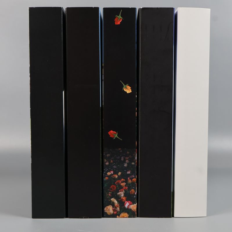 Ryggar av fem DVD-säsongsboxar ordnade bredvid varandra