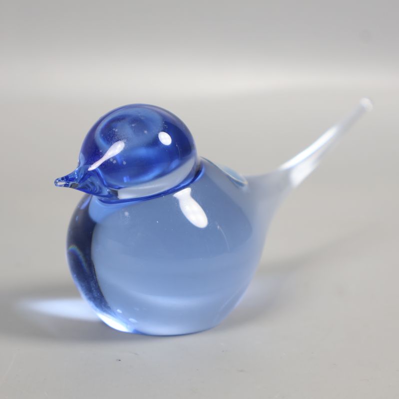 Närbild på glasfågelns blå tonade huvud och kropp