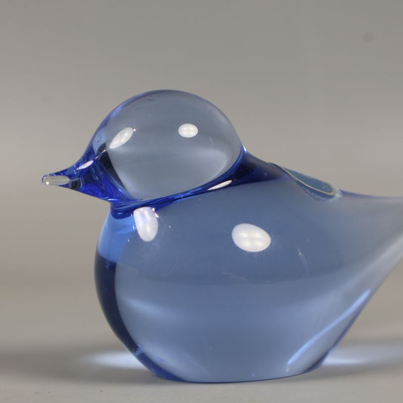 Glasfågeln sedd från sidan med rund kropp och kort näbb