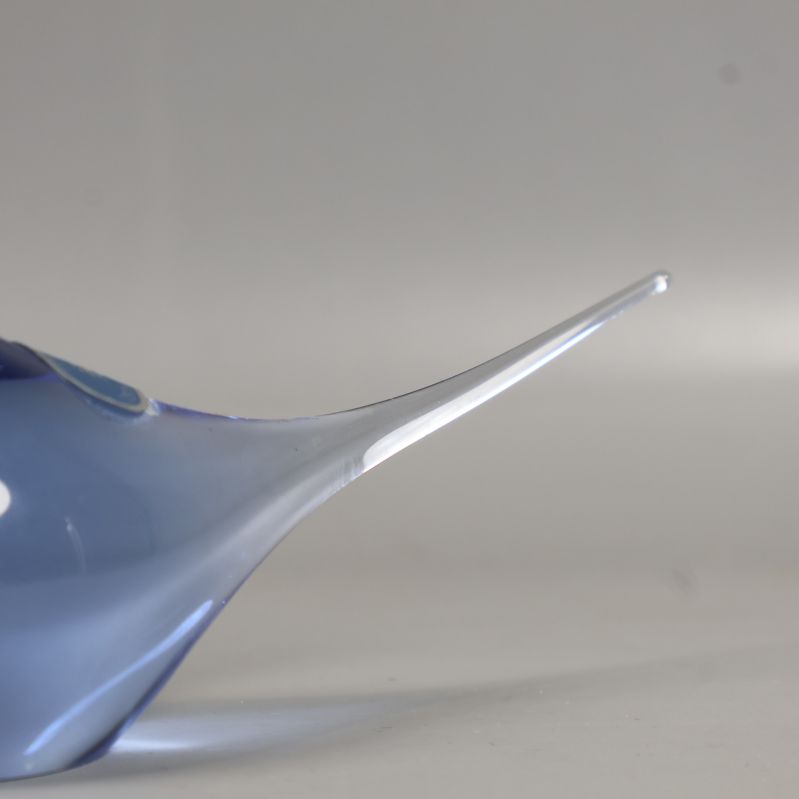 Fågelns långa transparenta stjärt i närbild