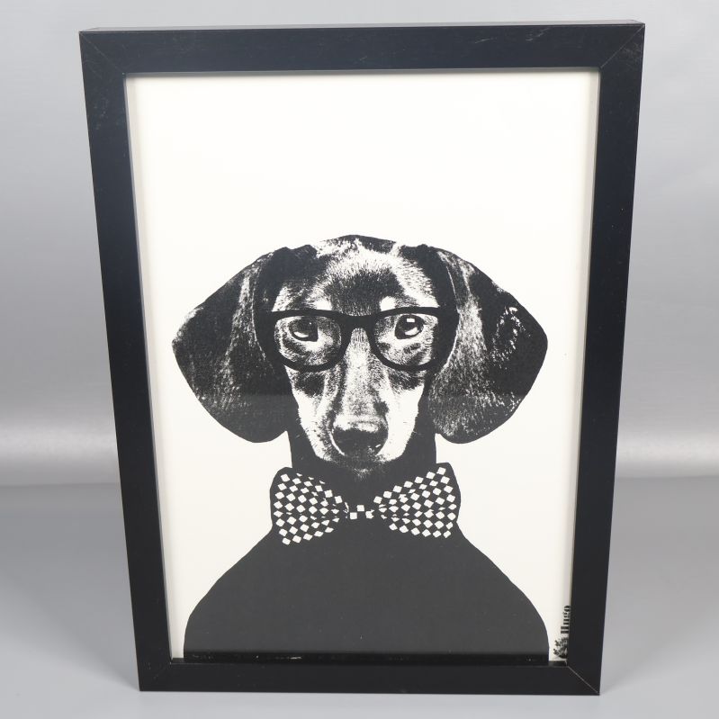 Tavla med svartvit hund framtill