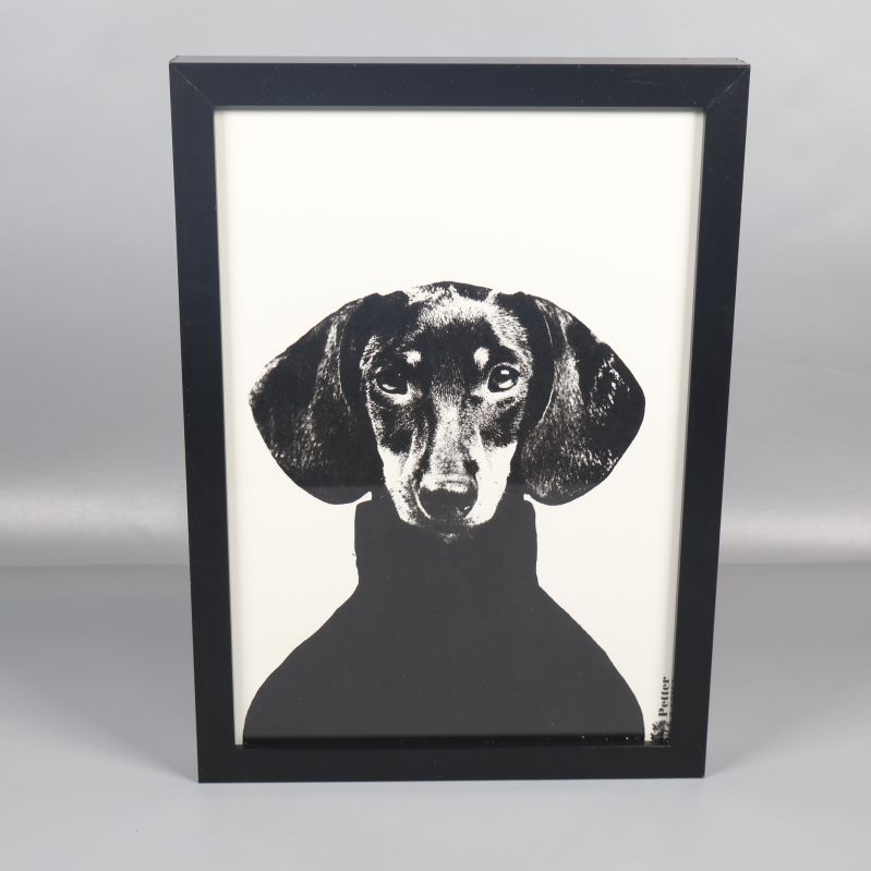 Tavla med svartvit hund och svart ram framtill
