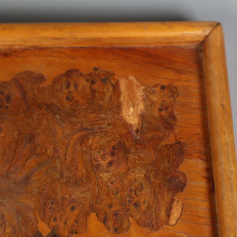 Närbild av skada på träd 