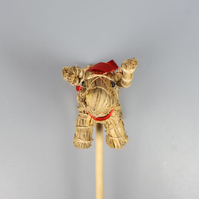 Halmbock sedd framifrån på ljus bakgrund