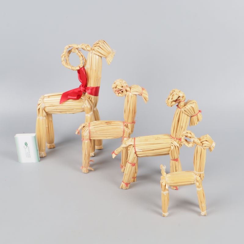 Halmbockar i olika storlek jämte ett tändsticksask för skala