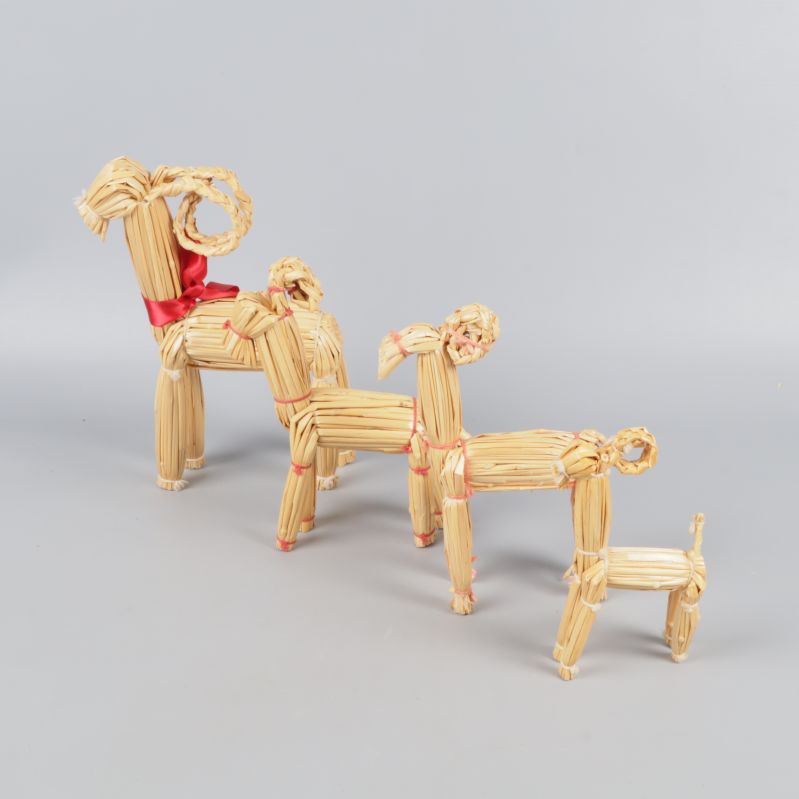 Halmbockar sedda från sidan uppställda på rad