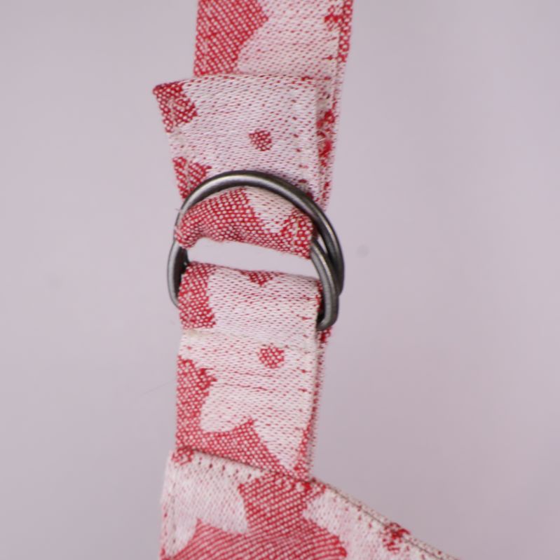 Detaljbild av metallspänne på nackrem