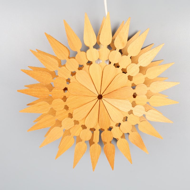 Baksidan av julstjärnan