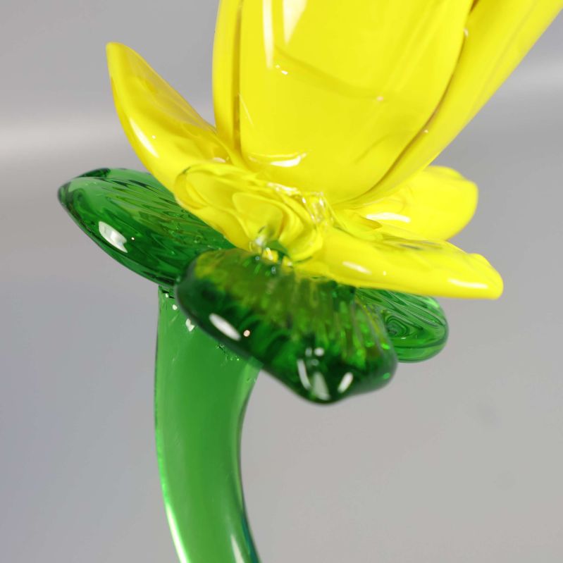 Närbild av skada på gulglasblommans kronblad och grönt blad