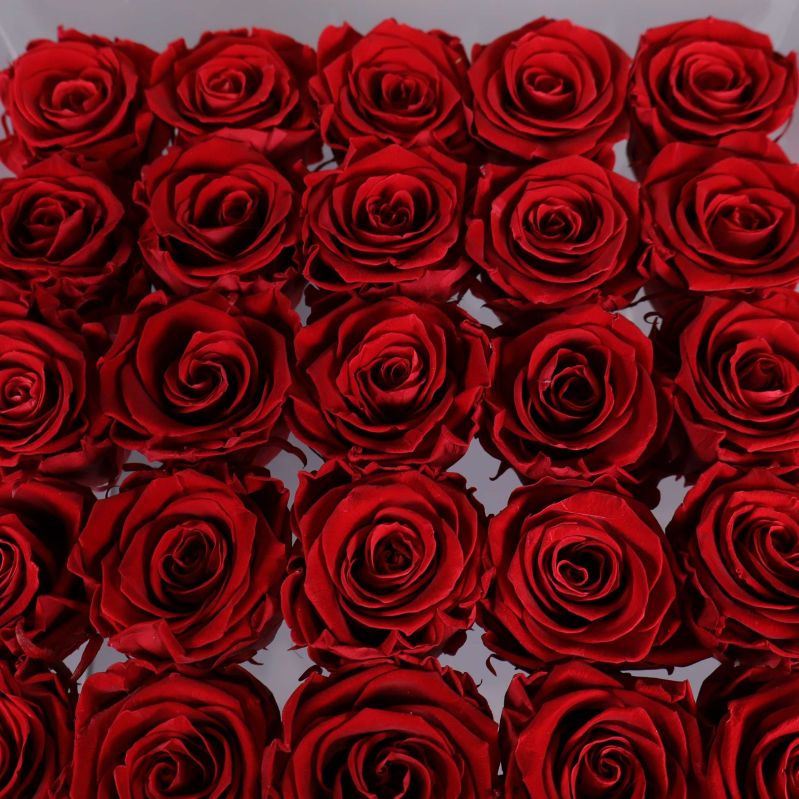 Närbild på röda rosor i boxen