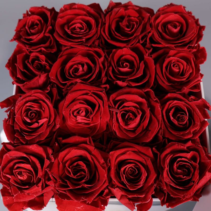 Närbild av tätt placerade röda rosor i box