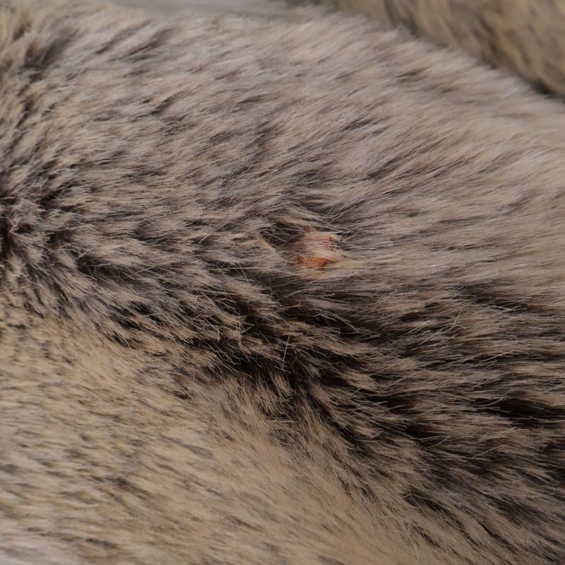 Närbild på mindre slitagefläck i fuskpälsen