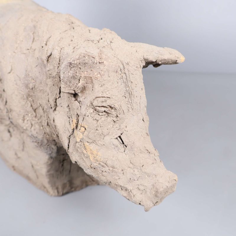 Närbild på större djurets huvud med textur