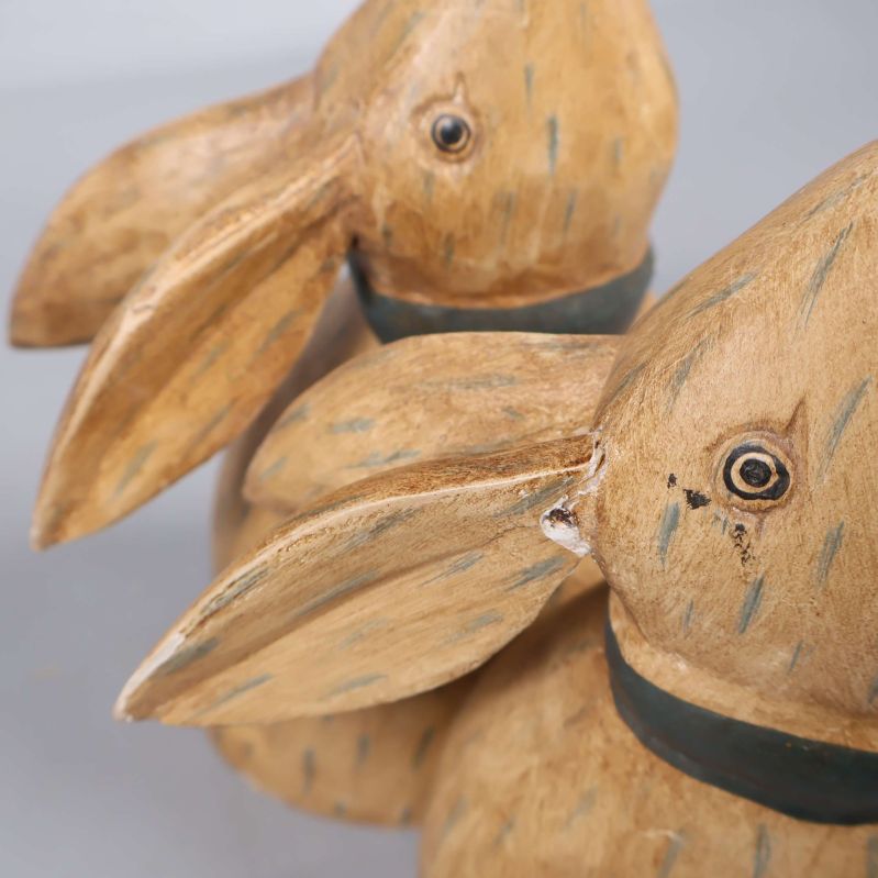 Närbild på kaninernas ansikten och öron med små slitage