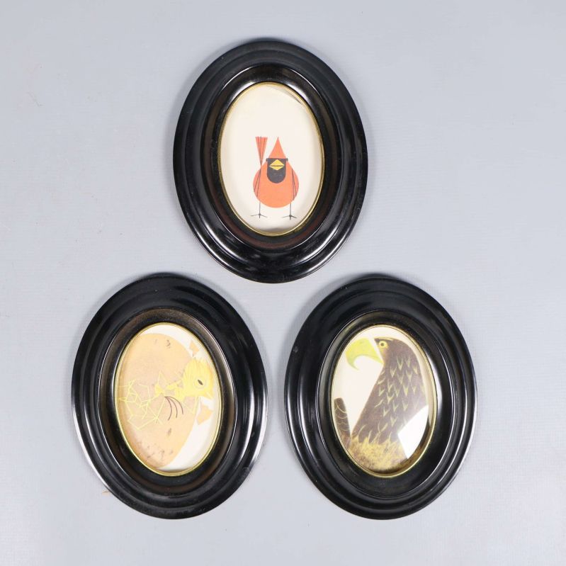 Tre svarta ramar med fågelillustrationer visas tillsammans