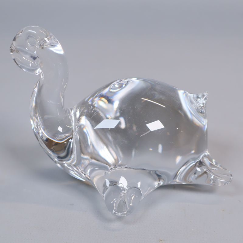 Sköldpadda i klart glas med rundad kropp