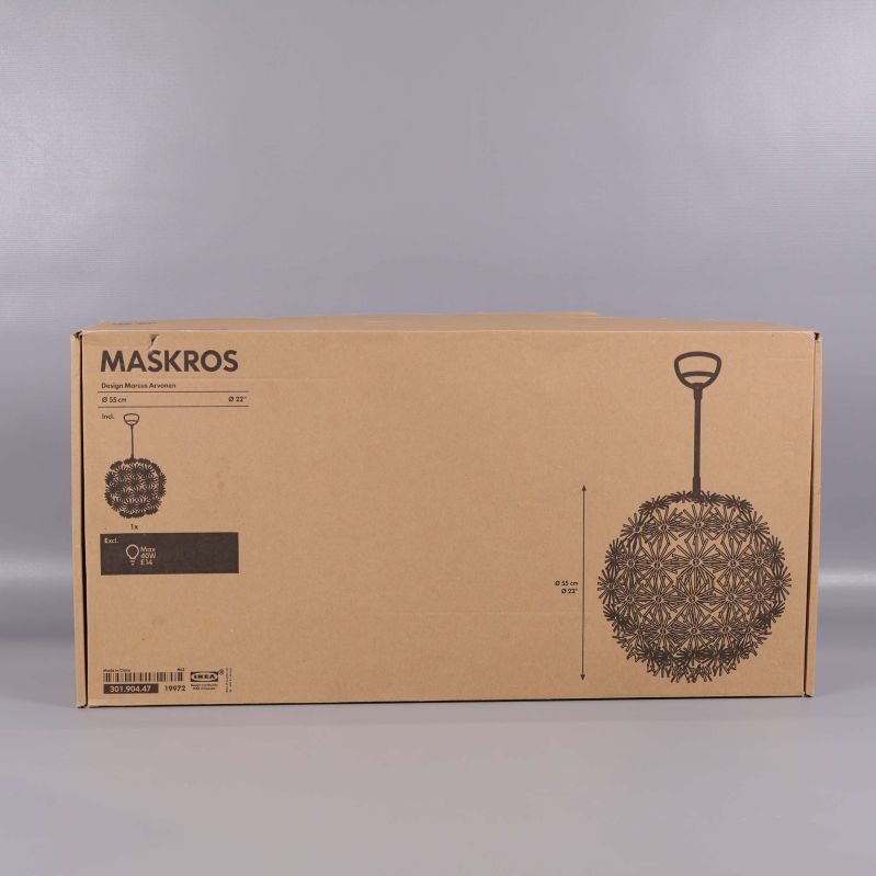 Stängd kartong med illustration av Maskros taklampa