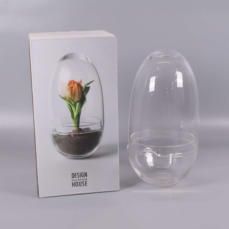 Odlingskupa i glas med tillhörande förpackning
