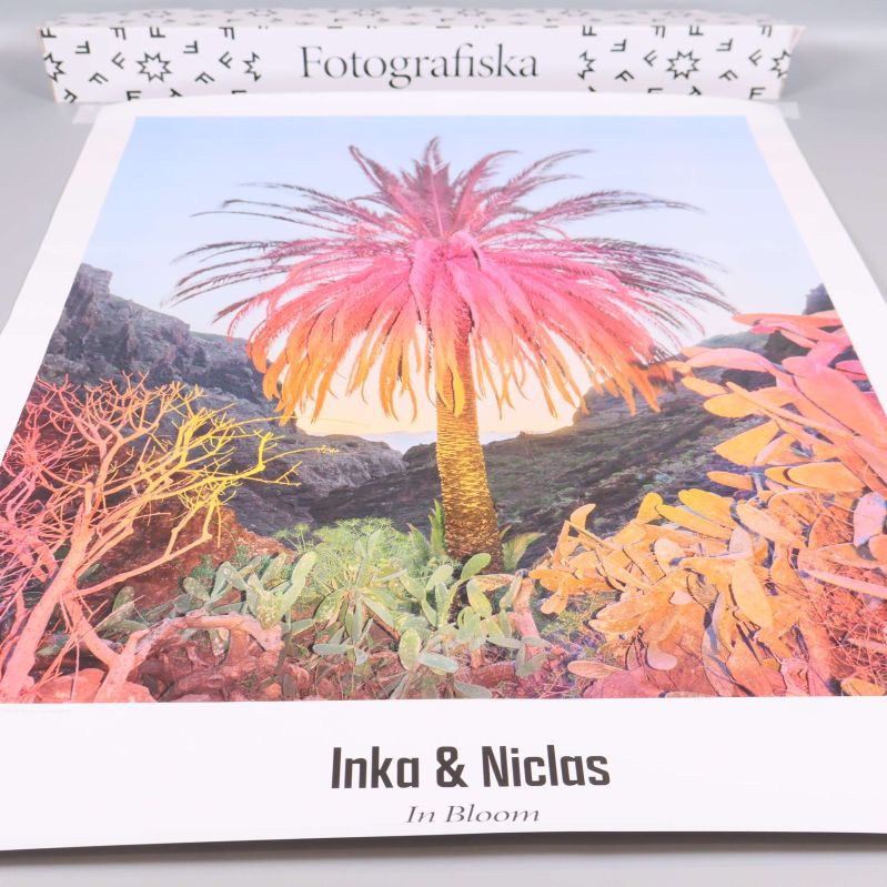 Fotokonstposter med färgglad palm från Inka & Niclas