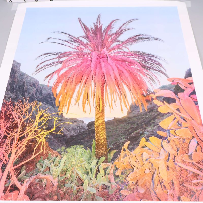 Detaljerad vy av fotokonstposter med palmmotiv