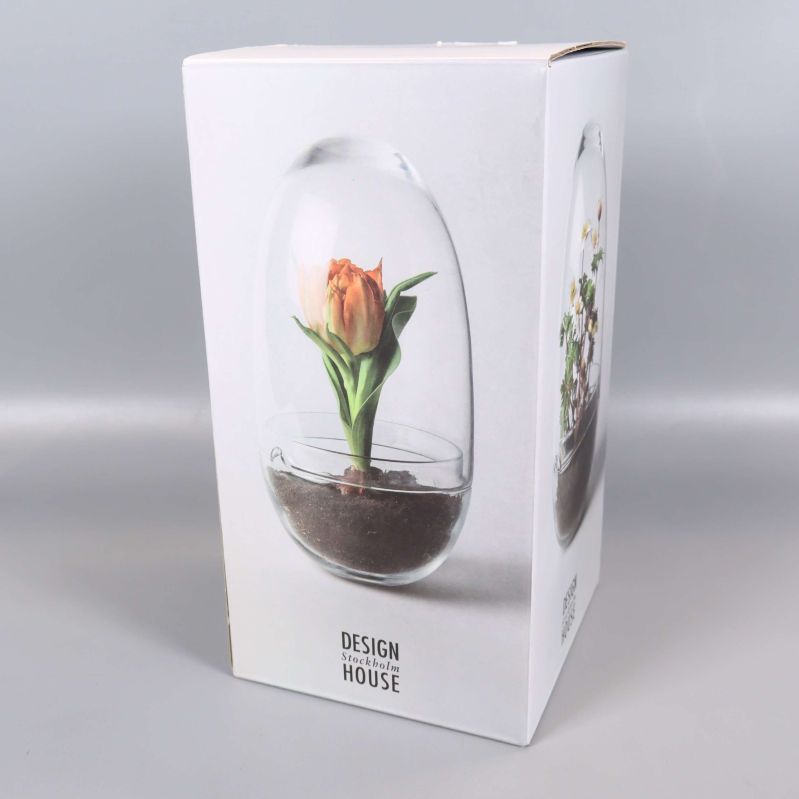Framsida på odlingshusets förpackning med blomma inuti