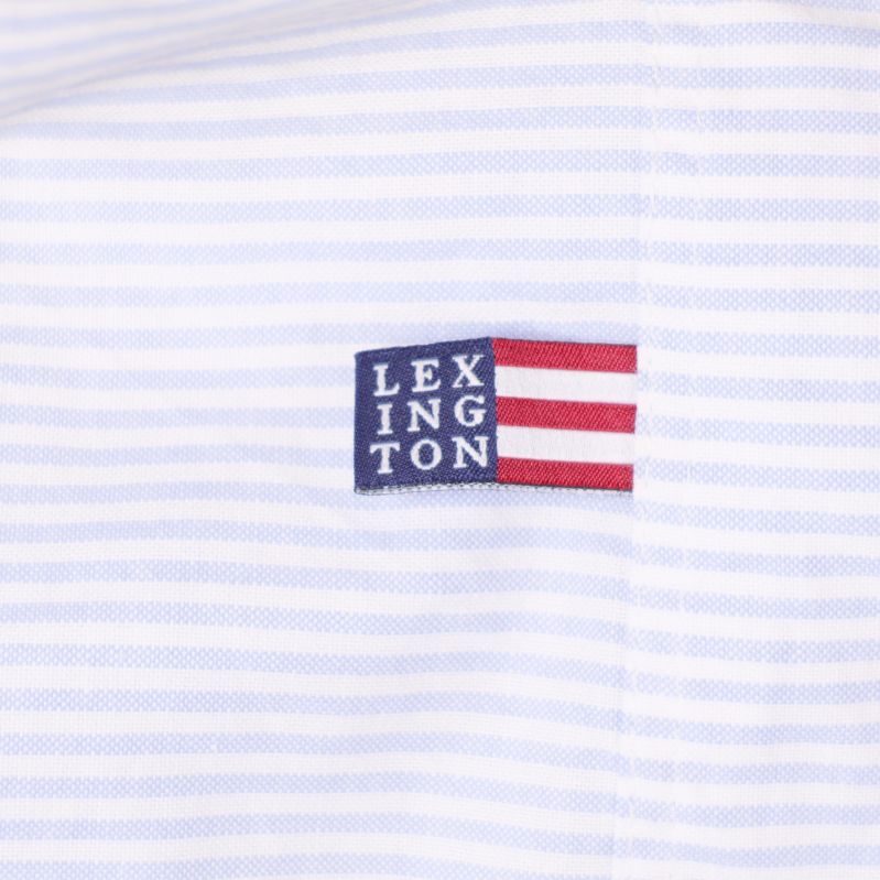 Närbild av Lexington-flagga på randigt tyg