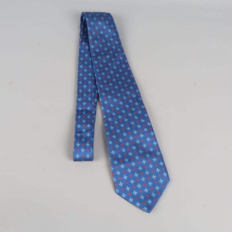 Blå mönstrad slips fotograferad i helfigur