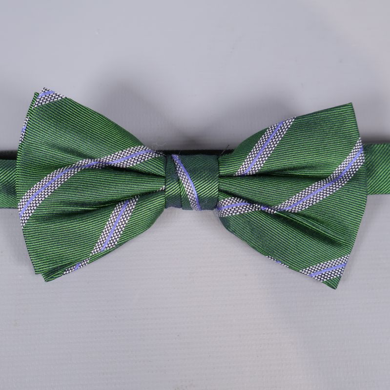 Närbild på grön fluga med ränder i blått och vitt