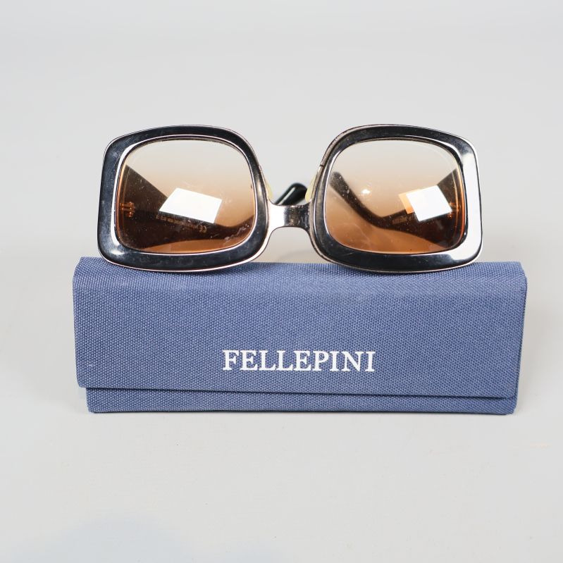 Solglasögon med fyrkantiga glas på fodral framifrån