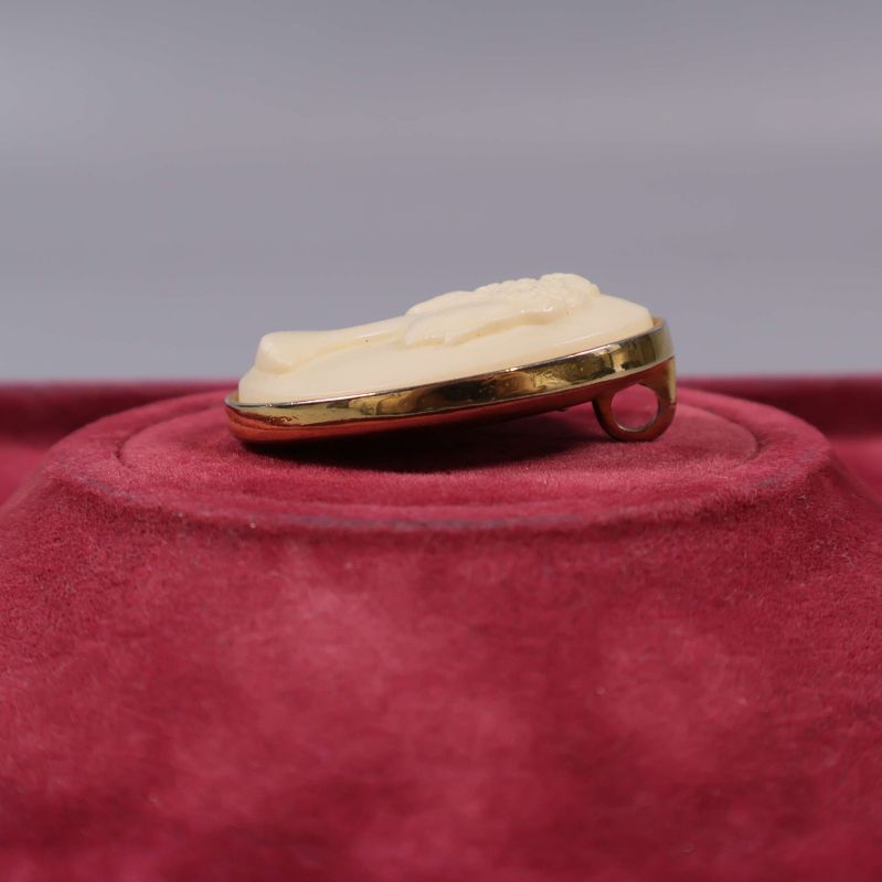 Sido vy av broschens guldkant och fäste