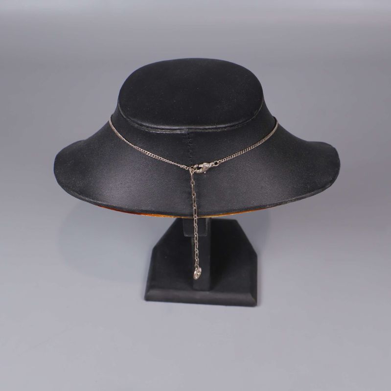 Bakre kedja och lås på halsband syns tydligt